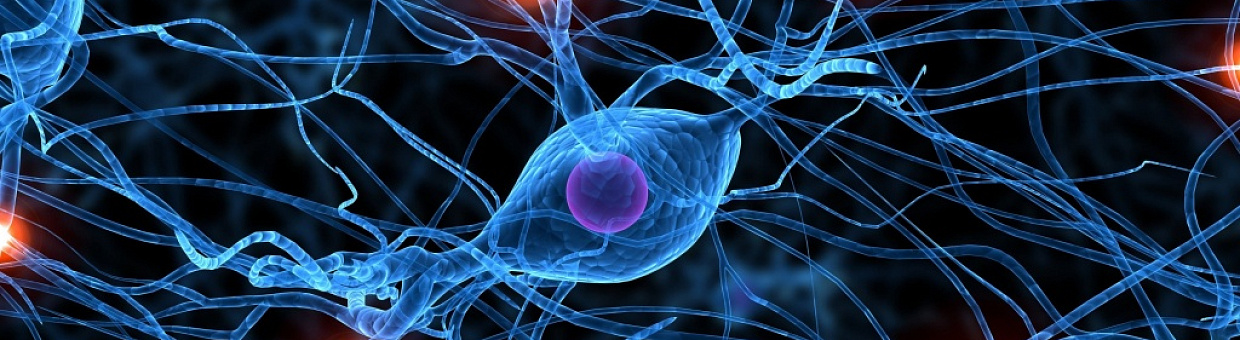 Ученые ТГУ: женщины быстрее реагируют на ласковые слова