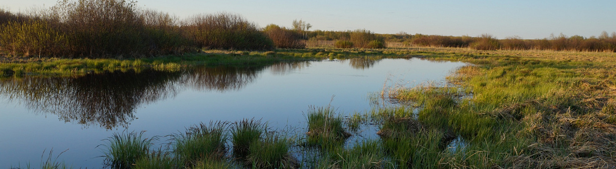 Центр изучения Сибири в ТГУ откроют замминистры образования и науки РФ