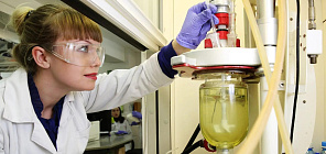 «Новые материалы и химия»: ЦОПП ТГУ поддержит аспирантов химической отрасли