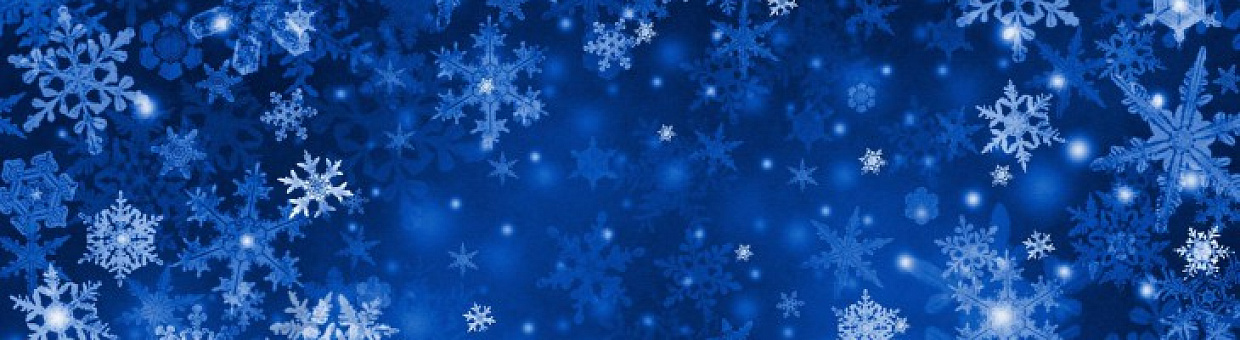 Гости из Германии узнали о культуре Сибири на языковой школе ТГУ