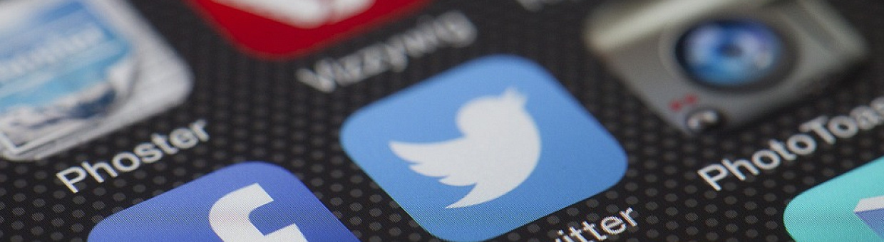 В ТГУ выявили, какие группы «Вконтакте» нравятся одаренным школьникам