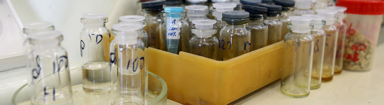 В ТГУ создают фитопрепарат, повышающий эффективность химиотерапии 