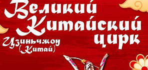 Великий китайский цирк выступит в Томске в рамках Годов культуры РФ и КНР