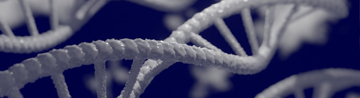 Генетики ищут способ обезвредить клещей с помощью редактирования ДНК