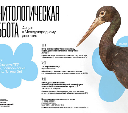 30 марта – Орнитологическая суббота в Зоологическом музее ТГУ