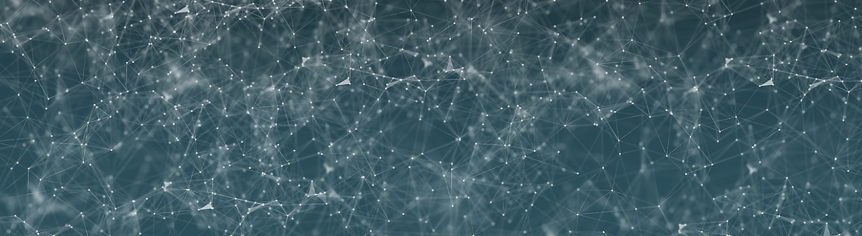 Студенты 40 российских вузов учатся на онлайн-курсах ТГУ