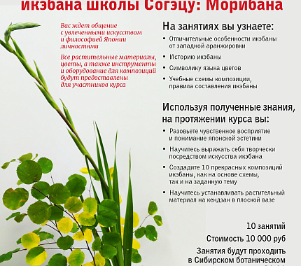 С 11 декабря – курс «Японская аранжировка – икэбана школы Согэцу: Морибана»