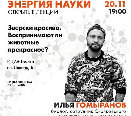 «Зверски красиво. Воспринимают ли животные прекрасное?»: лекция биолога Ильи Гомыранова