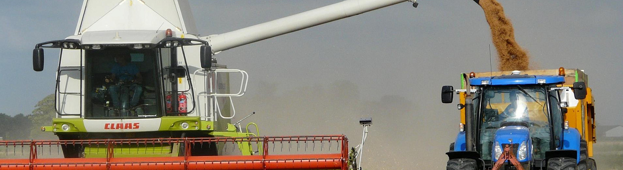 В ТГУ искусственный интеллект научат разбираться в земледелии