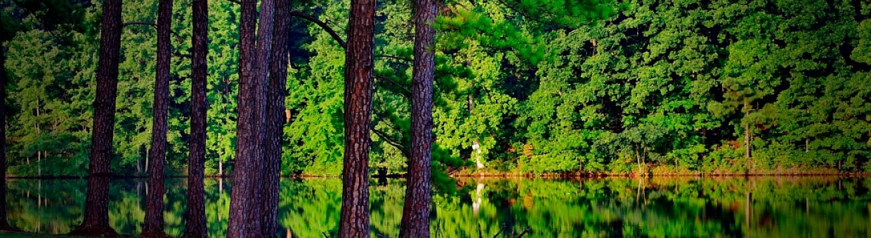 «История с географией»: Экономика впечатлений и будущий кампус — 1