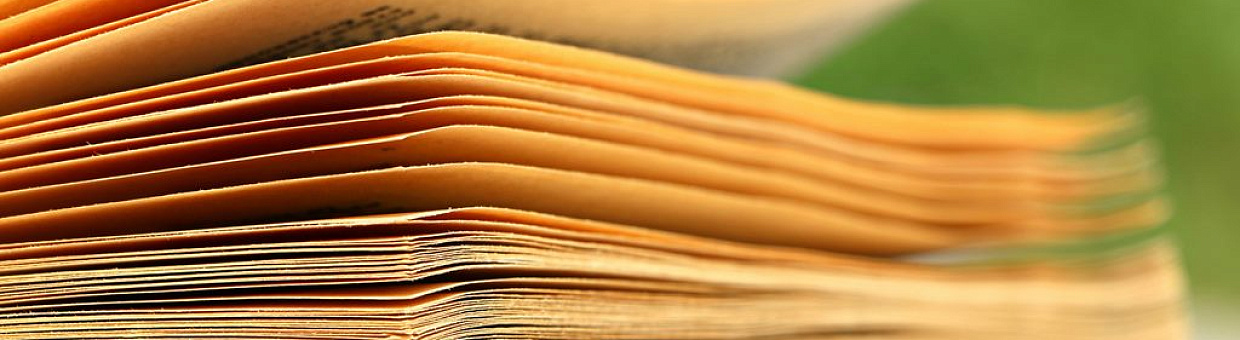 НБ ТГУ стала участником проекта по сохранению наследия Петра Макушина 