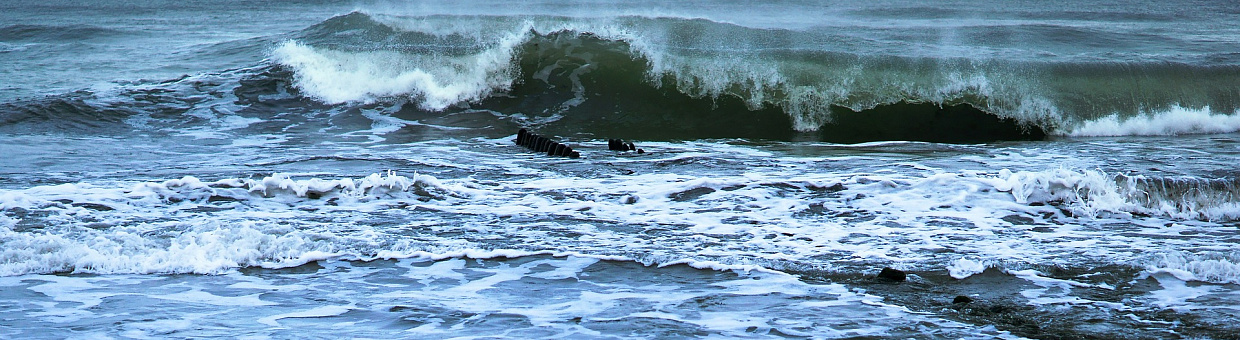Промысел и потепление климата могут сократить численность трески