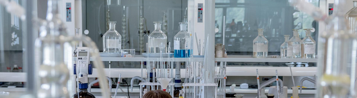 Фитохимики и фармакологи создали новый противоязвенный препарат 