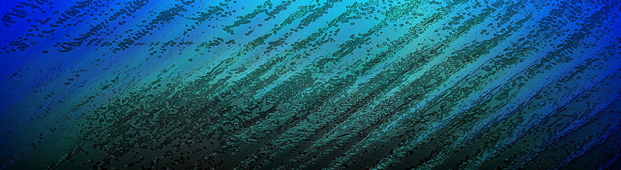 В ТГУ менеджеров для крупных корпораций будут готовить онлайн