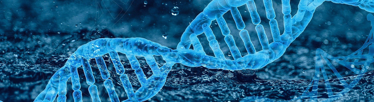 12 научных центров займутся созданием технологий повышения иммунитета