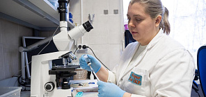 Ученые ТГУ: нужны жесткие стандарты контроля пробиотиков на рынке