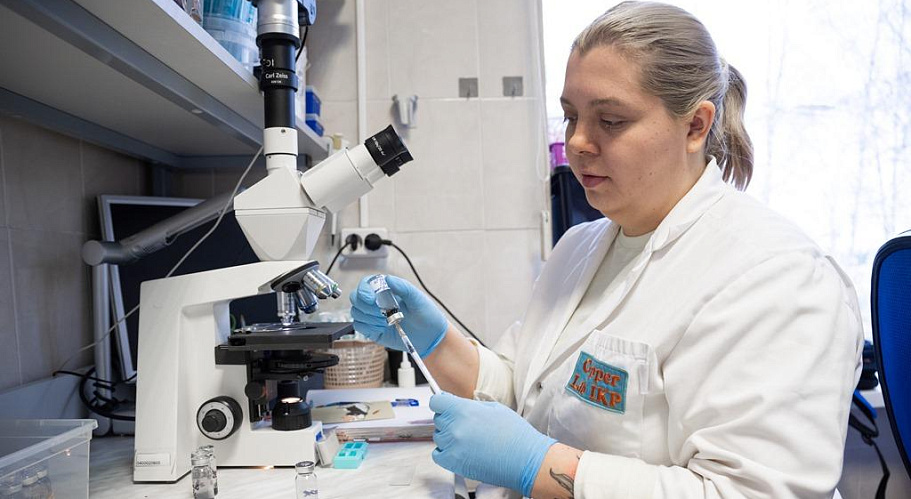 Ученые ТГУ: нужны жесткие стандарты контроля пробиотиков на рынке