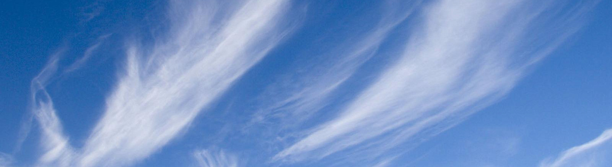 Волонтеры ТГУ присоединились к международному проекту во Франции