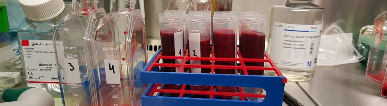 Биосовместимость заменителей костной ткани из ТГУ проверили в Германии