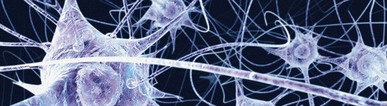 Почему «гордость» выше, чем «обида», объяснит проект филолога ТГУ