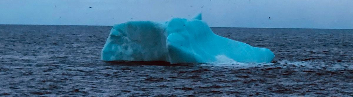 Сотрудник РФФ семь раз пробежал марафон на борту корабля в Арктике