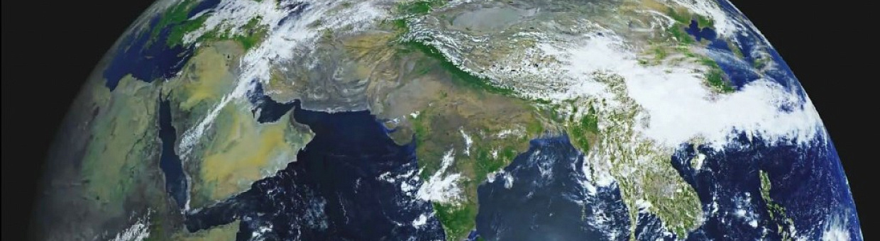 От клеток к Гее: на Coursera стартует англоязычный курс по экологии