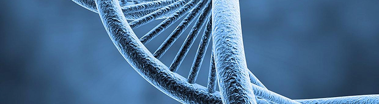 Чувство тревоги при ориентации в пространстве наследуется на 40%