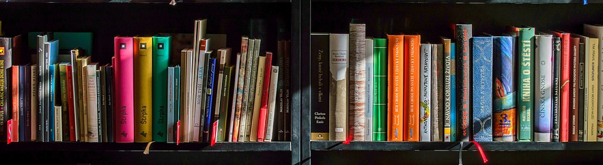 В ТГУ начали работу собственные диссертационные советы