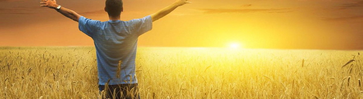 Человек как открытая система